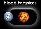 Blood Parasite Flash