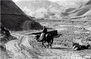 Afghan Man on Horseback